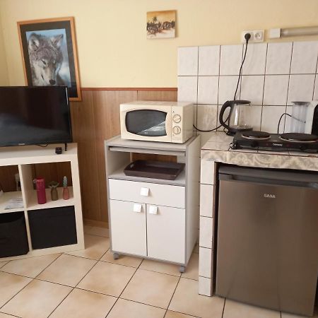 Les Appartements Du Lion De Belfort Extérieur photo