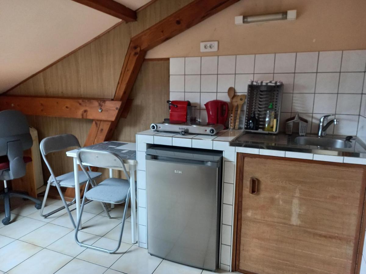 Les Appartements Du Lion De Belfort Extérieur photo