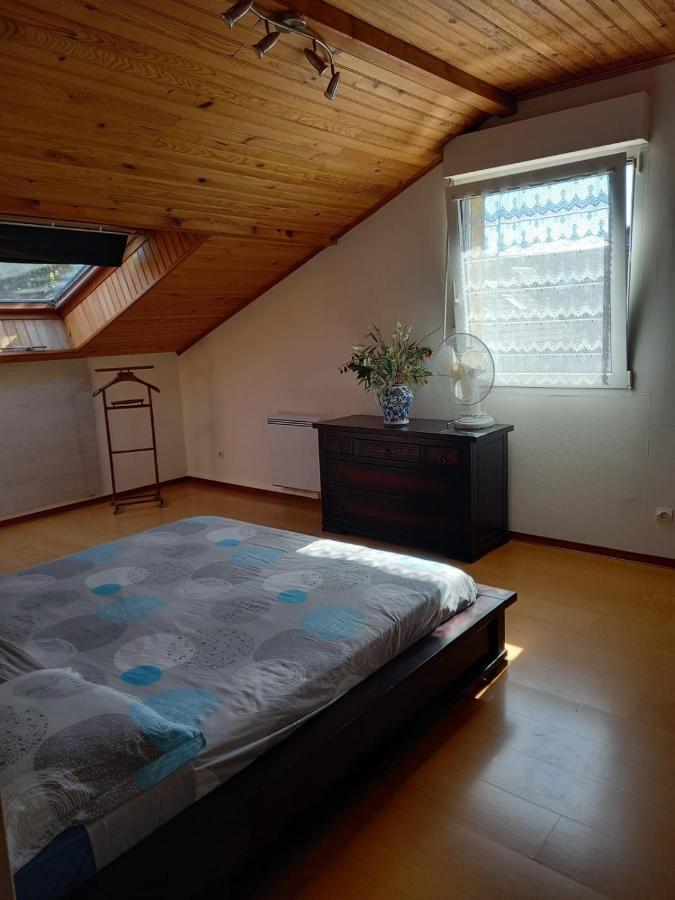 Les Appartements Du Lion De Belfort Extérieur photo