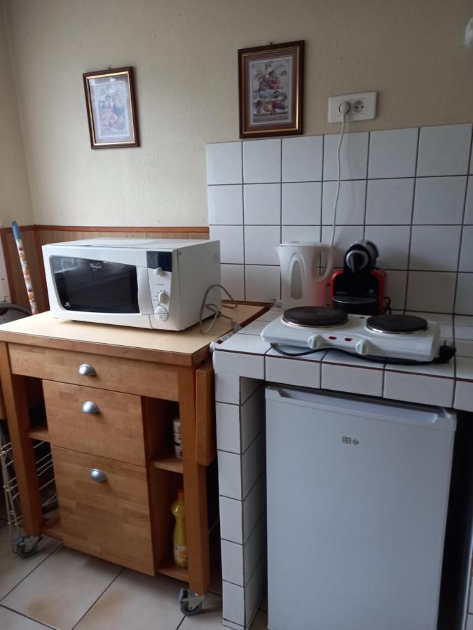 Les Appartements Du Lion De Belfort Extérieur photo