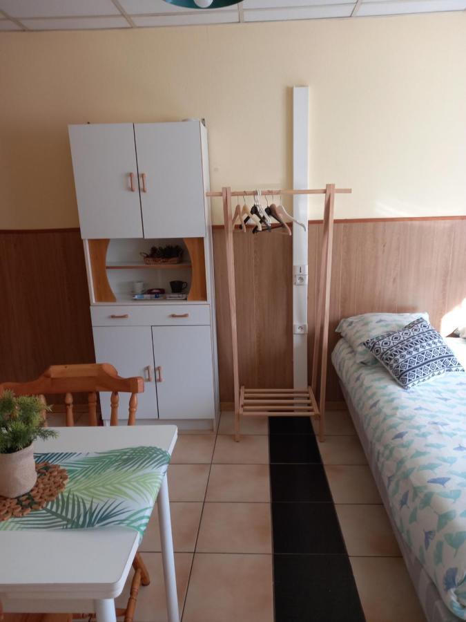Les Appartements Du Lion De Belfort Extérieur photo