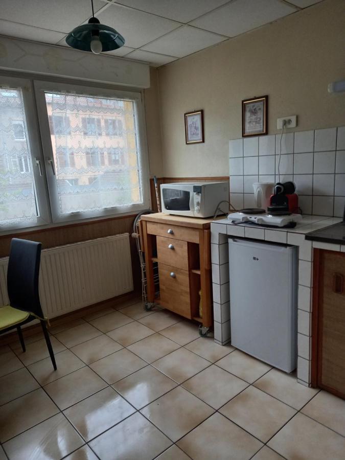 Les Appartements Du Lion De Belfort Extérieur photo