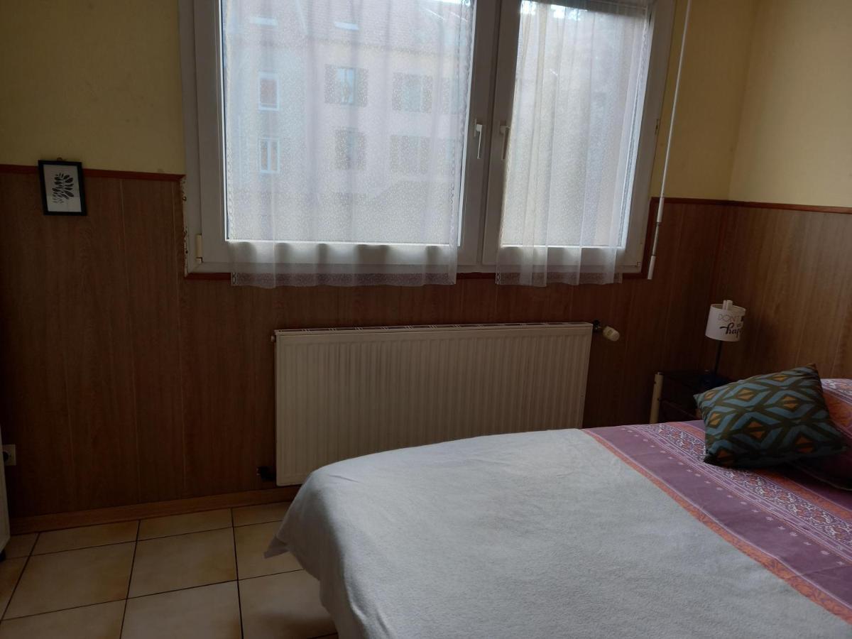 Les Appartements Du Lion De Belfort Extérieur photo