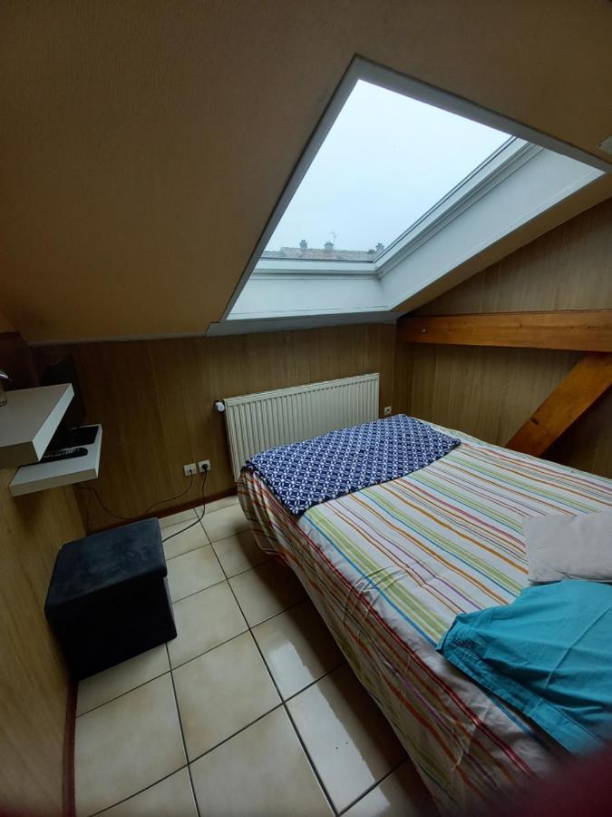 Les Appartements Du Lion De Belfort Extérieur photo