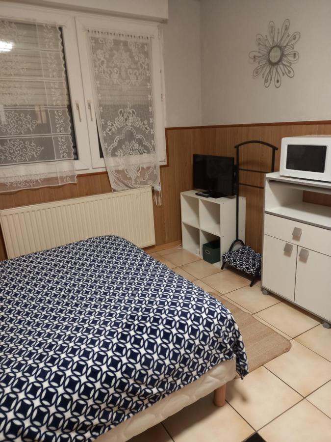 Les Appartements Du Lion De Belfort Extérieur photo