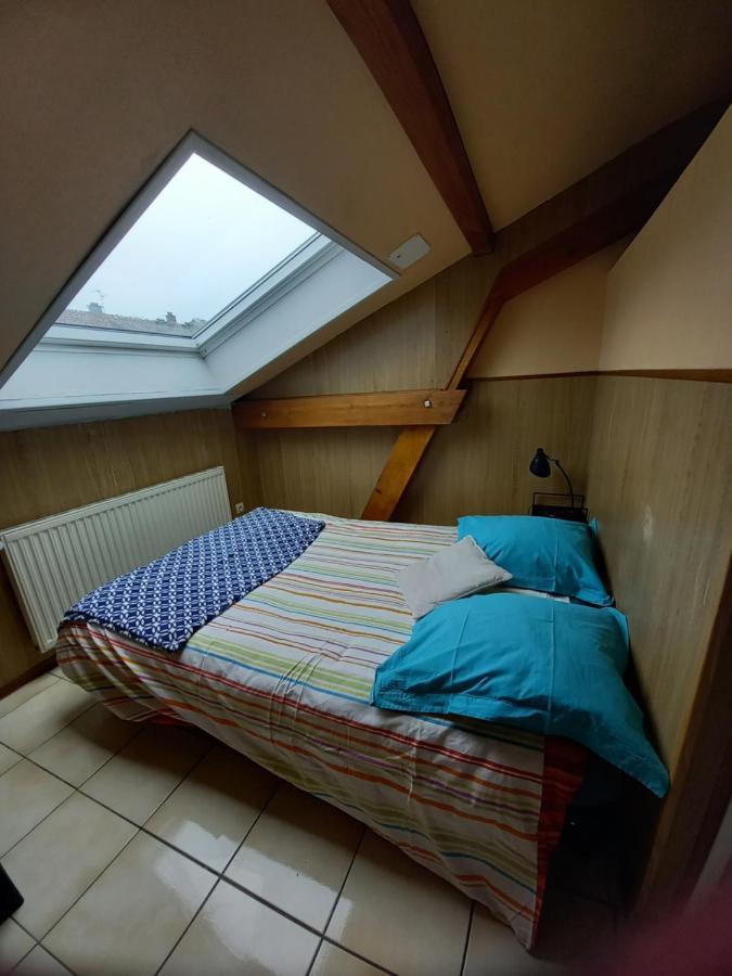 Les Appartements Du Lion De Belfort Extérieur photo