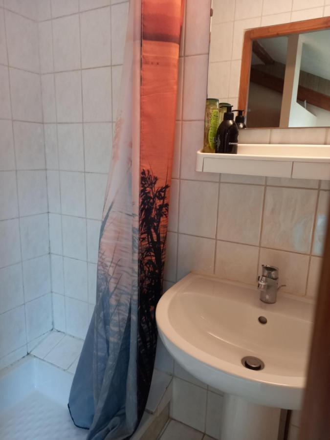 Les Appartements Du Lion De Belfort Extérieur photo