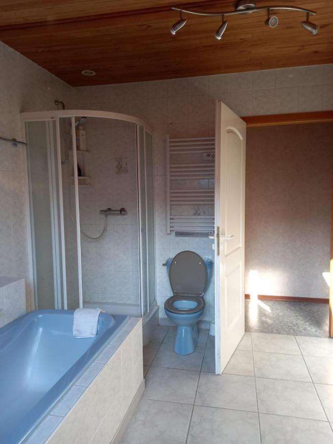 Les Appartements Du Lion De Belfort Extérieur photo