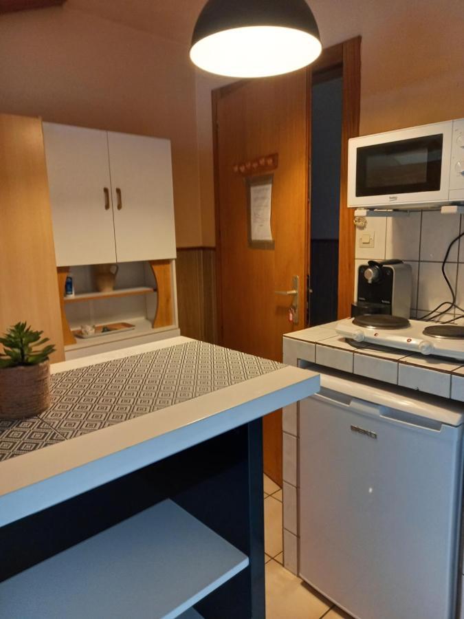Les Appartements Du Lion De Belfort Extérieur photo