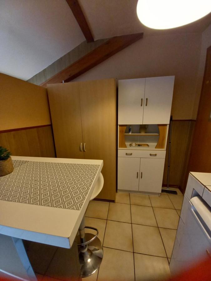 Les Appartements Du Lion De Belfort Extérieur photo